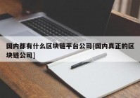 国内都有什么区块链平台公司[国内真正的区块链公司]