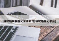 区块链项目孵化企业公司[区块链孵化平台]